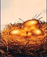 gold nest egg